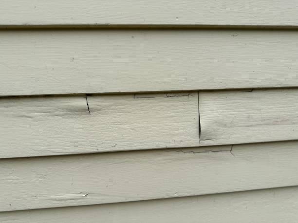 Best Construction Debris Removal  in Meridian, CO